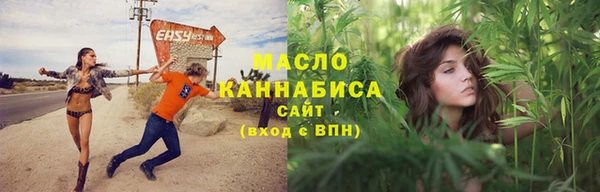 индика Белокуриха