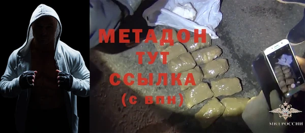 индика Белокуриха