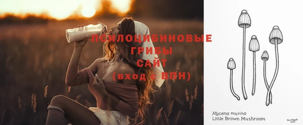 метадон Беломорск