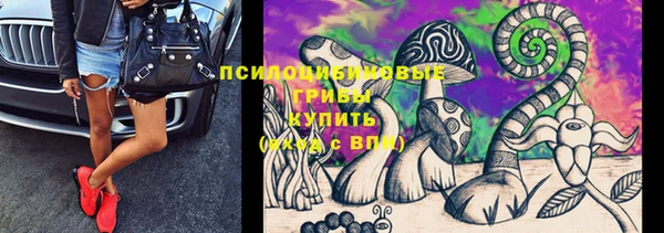 стафф Белоозёрский