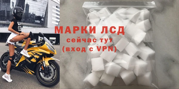 индика Белокуриха