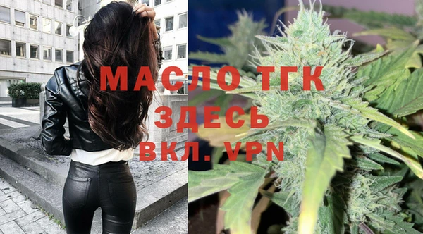 индика Белокуриха