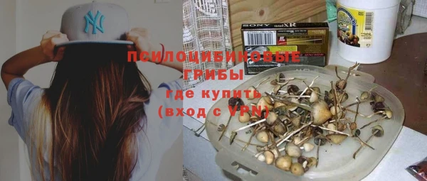 стафф Белоозёрский
