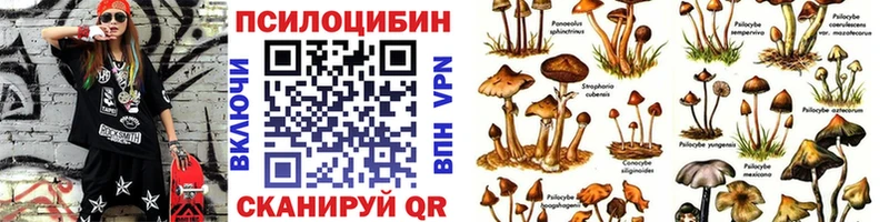 Галлюциногенные грибы мицелий  ссылка на мегу как войти  Киров 