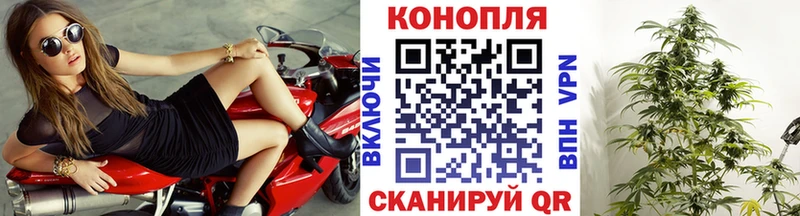 Канабис OG Kush Киров