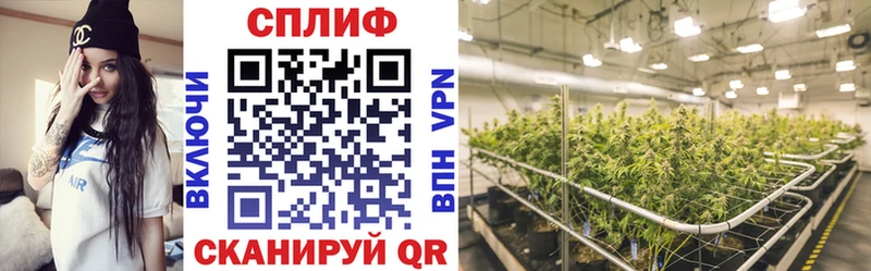 Марихуана план  mega ТОР  Киров 